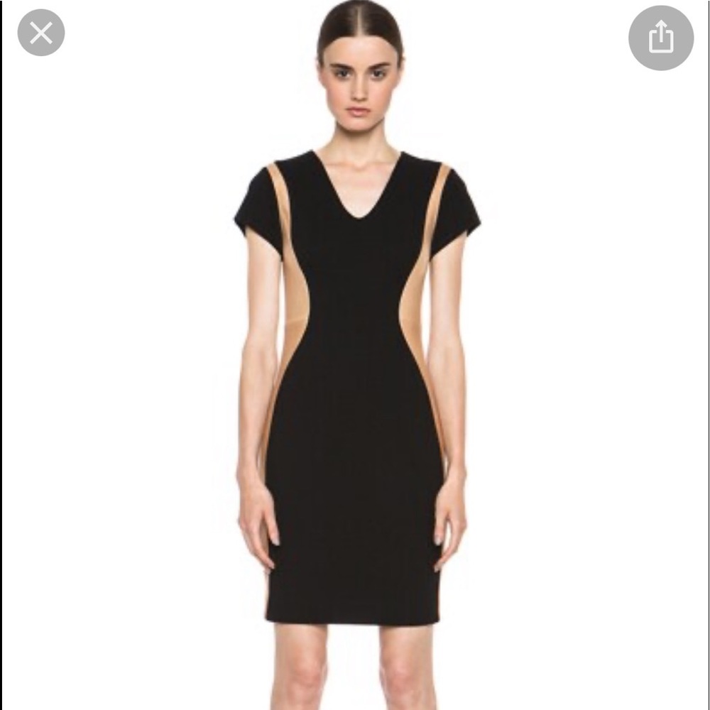 Diane Von Furstenburg Dayton Leather inset dress.